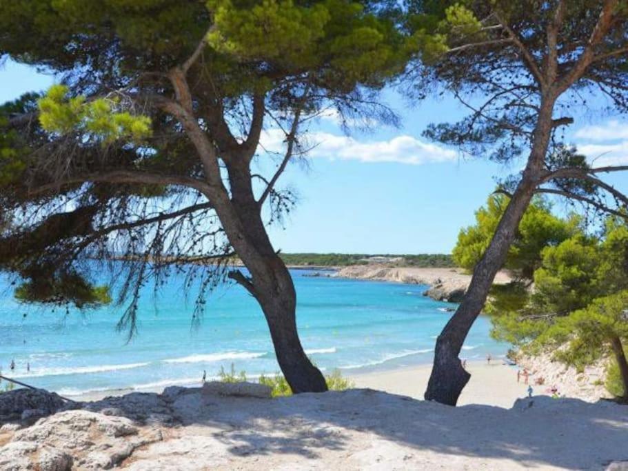 Maison Planier, Havre De Paix Proche Mer Et Centre Sausset-les-Pins Exteriér fotografie